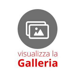 Guarda le gallery